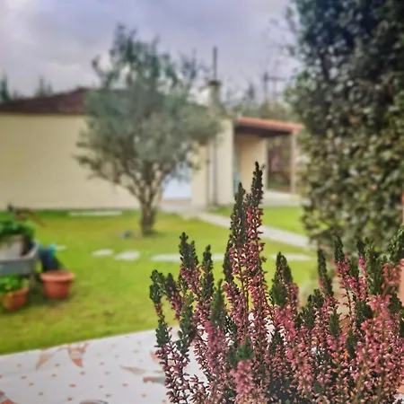 Casa Botanica * Eleftherochorion (Trikala)