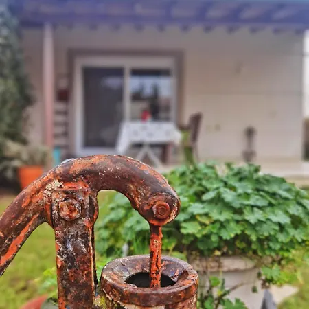 Casa Botanica