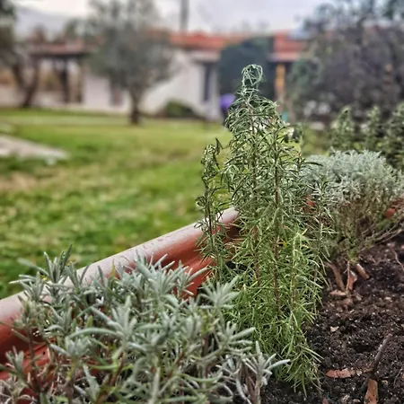 شقة Casa Botanica *